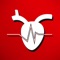 Test and improve your information answering the questions and learn new knowledge about human cardiovascular system by this app