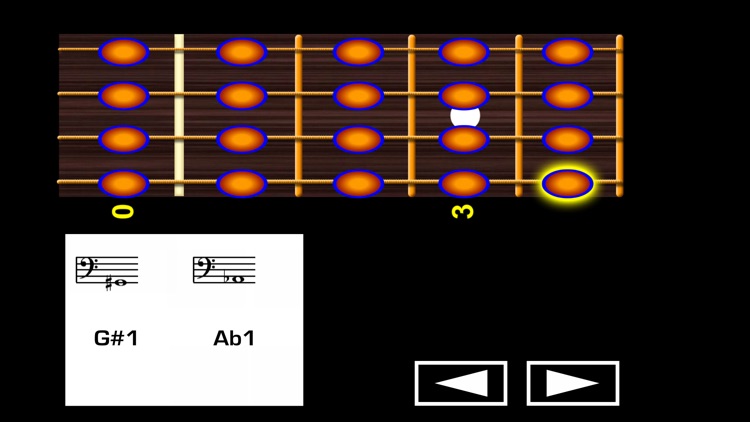 Bass Guitar Notes PRO