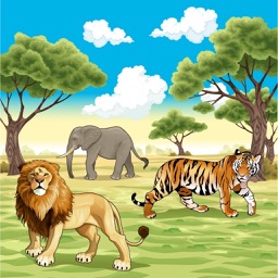 Animal Play App