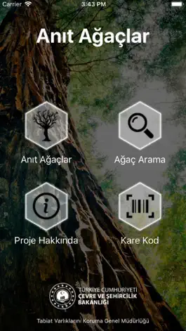 Game screenshot Anıt Ağaçlar mod apk