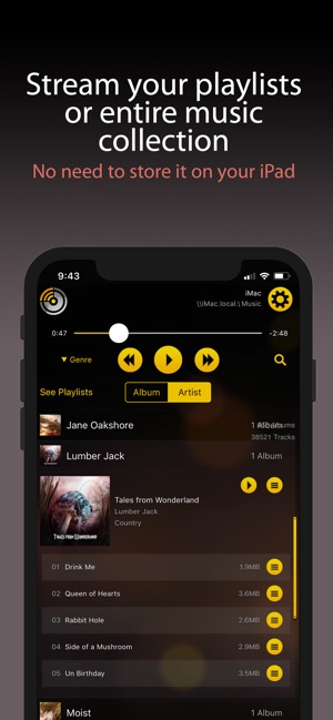 MusicStreamerLite