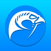 Falcon Mx sur PC