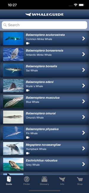 WhaleGuide for iPhone(圖1)-速報App