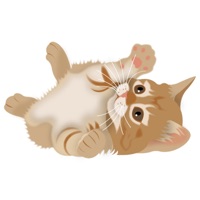 Catpoz