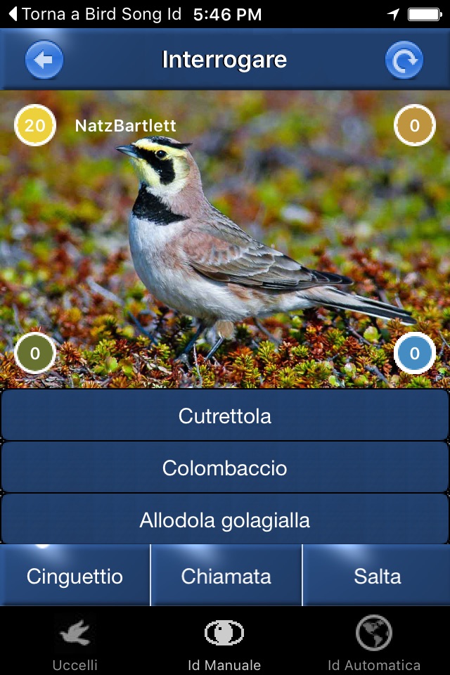 Canzoni d'uccelli screenshot 4