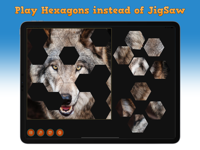 Hexagons Puzzles(圖1)-速報App