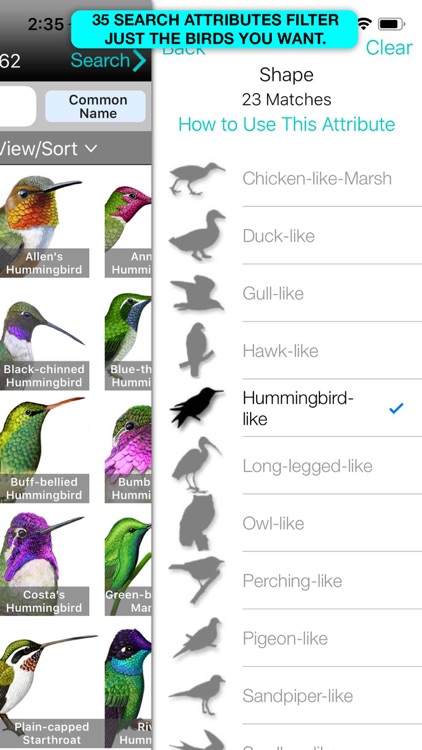 iBird Plus Guide to Birds screenshot-7