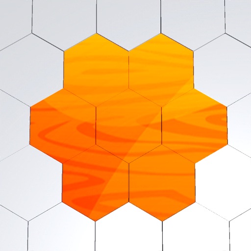 Hexa Woody Block Puzzle