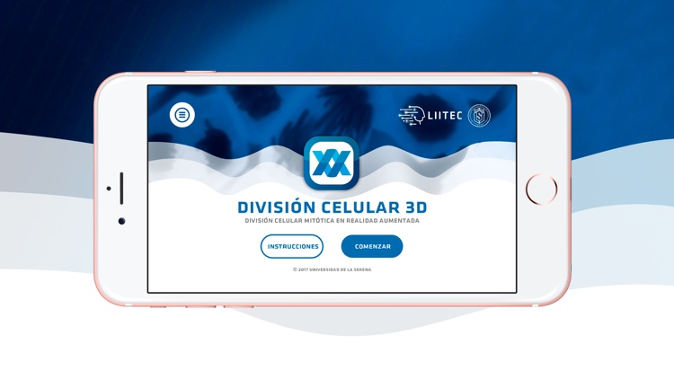 3D Mitotic Division