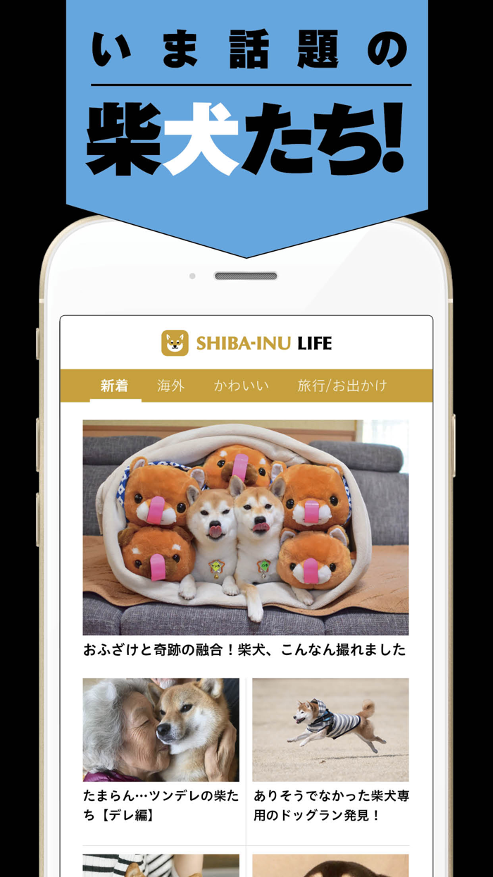 柴犬ライフ：100％柴犬情報メディア