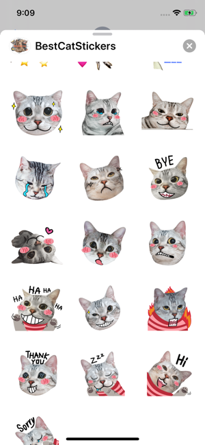 Best Cats Stickers & Emojis(圖3)-速報App