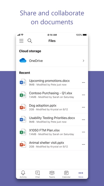 Microsoft Teams screenshot-5
