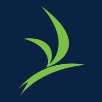 MindsetPT pour PC