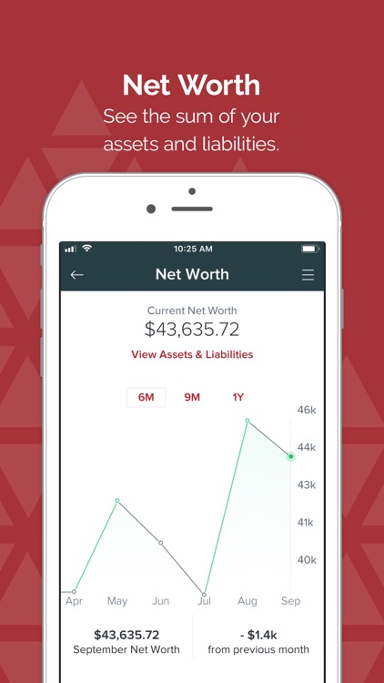 Ent Money Insight Lite