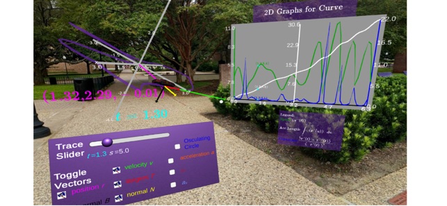 Calculus in Virtual Reality