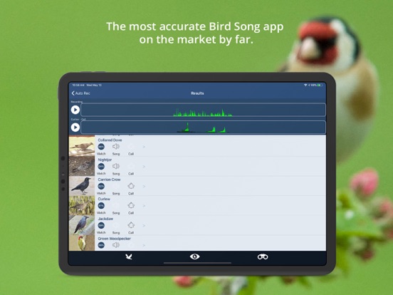 Bird Song Id UK