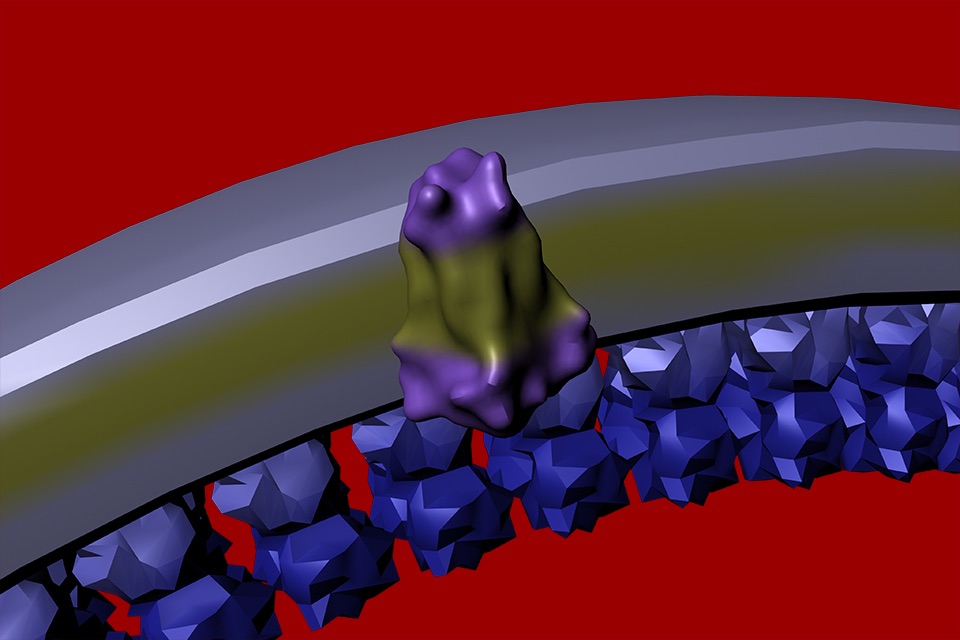 Bio Virus Structure in 3D screenshot 4