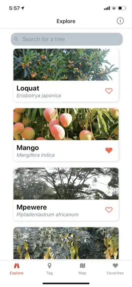 Game screenshot Uganda's Trees mod apk