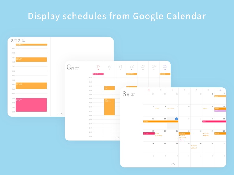 Planner for iPad