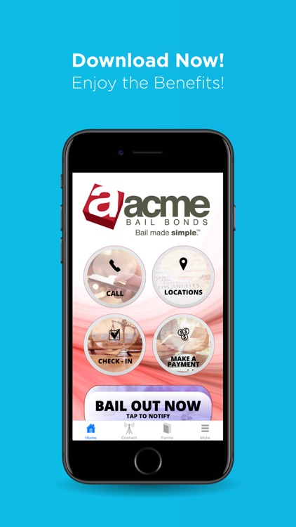 Acme Bail Bonds