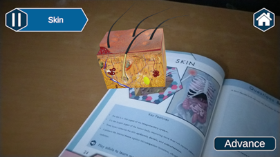 AR Lab Book: Vital Organs screenshot 2