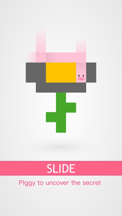 Pixel Piggy