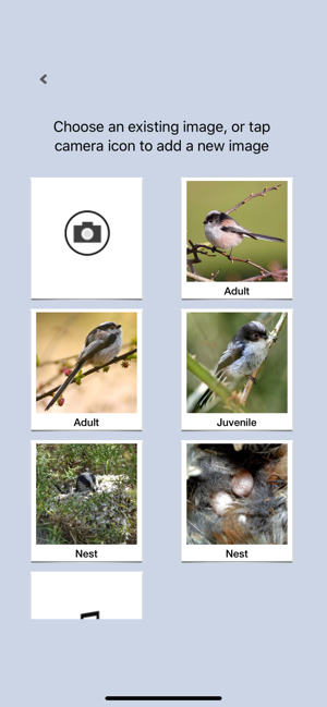 Birds of Britain Lite(圖6)-速報App