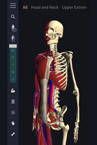 3D motion anatomy teamLabBody screenshot 2