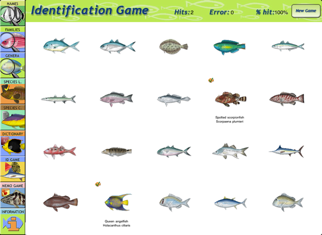 Marine Fishes Id Guide(圖5)-速報App