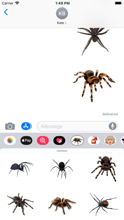 Spider Set Stickers screenshot-4