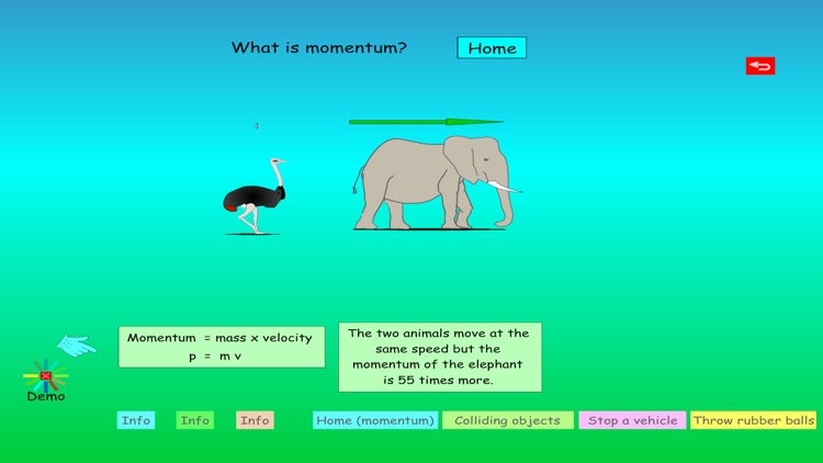 Momentum and Impulse Animation