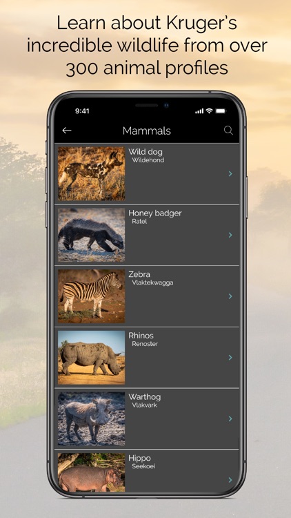 KrugerExplorer screenshot-3