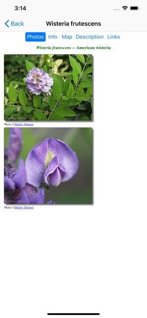 Florida Wildflowers(圖3)-速報App