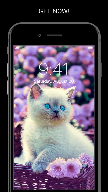 Everpix Cool Wallpapers HD 4K screenshot-8