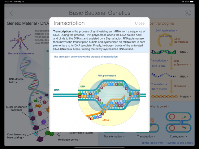 Bacteria Guide(圖3)-速報App