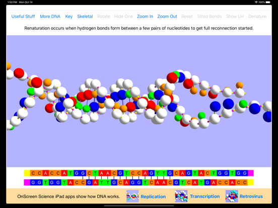 OnScreen DNA Model Screenshots