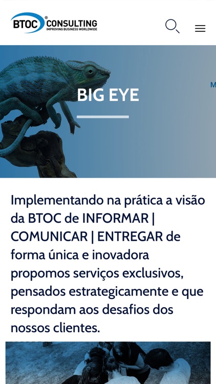 BTOC Consulting screenshot-3