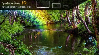 Enchanted Forest HD screenshot 1