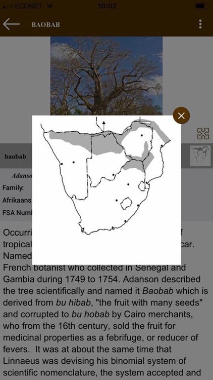 Key to Trees - Southern Africa screenshot-6