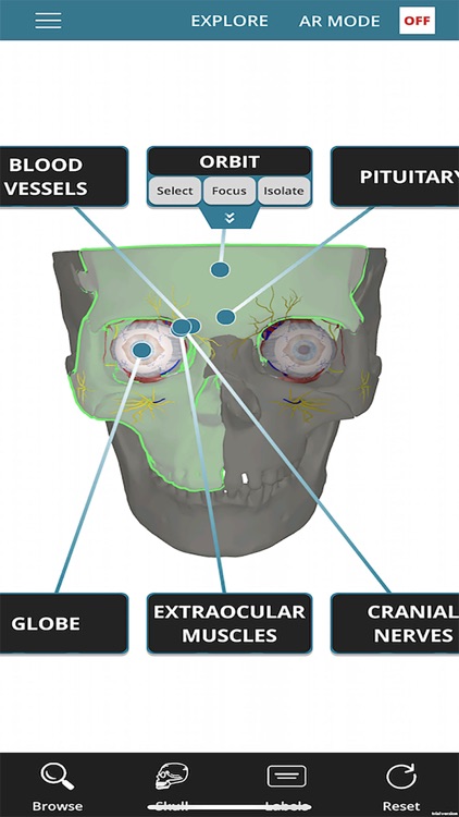 OculAR SIM