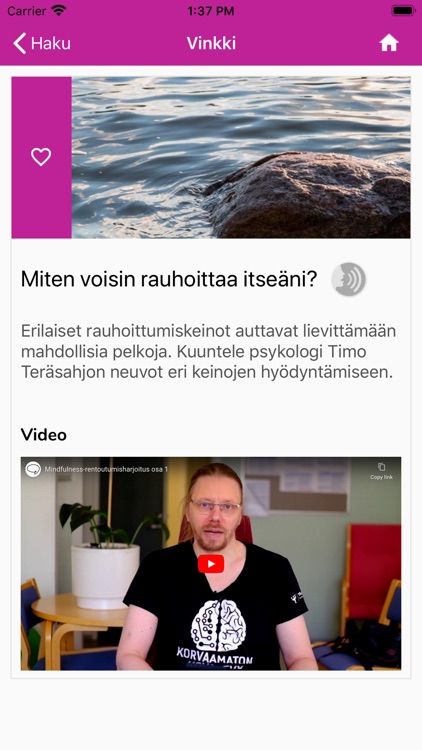 Pääasioita screenshot-7