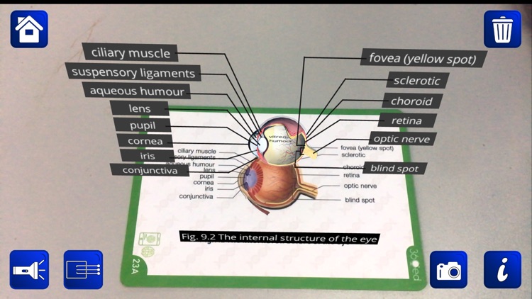 Dat Thin Pone Biology AR