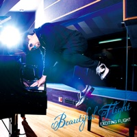 Beautiful Flight for windows