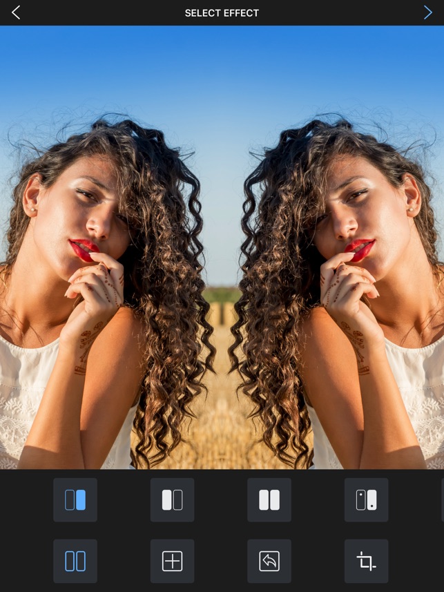 Online photo editor mirror effect