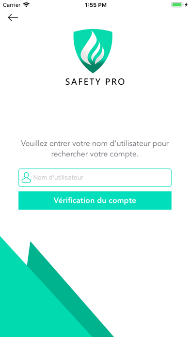 Safety Pro screenshot 3