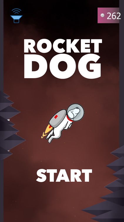 Rocket Dog