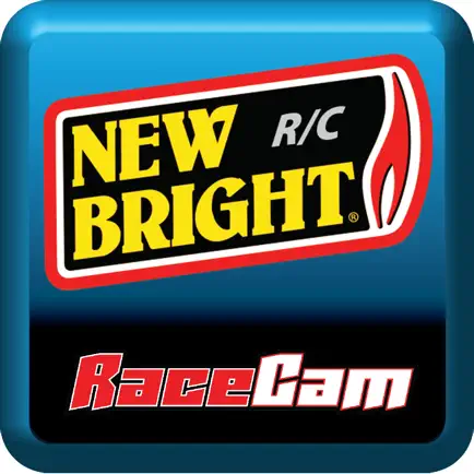 New Bright RaceCam Читы