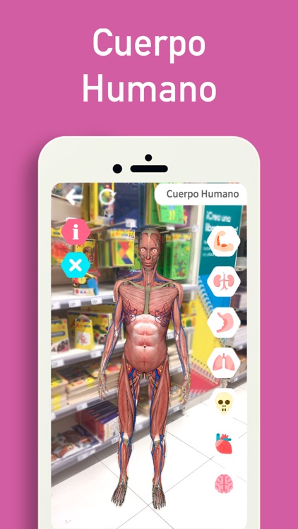 Anatomy l Cuerpo Humano AR