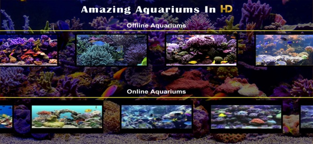 Amazing Aquariums In HD(圖2)-速報App