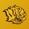 UAPB Golden Lions